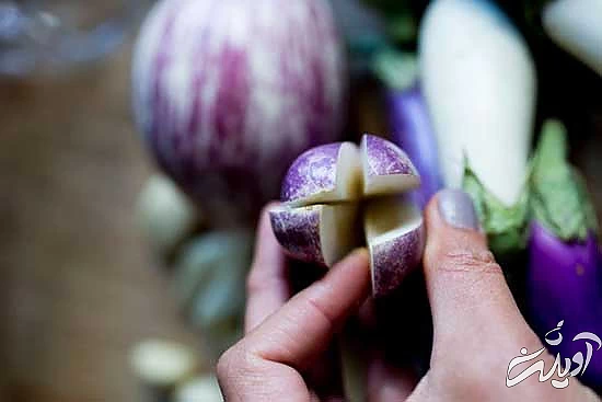 این ترشیهای هیجان انگیز این ترشیهای هیجان انگیز